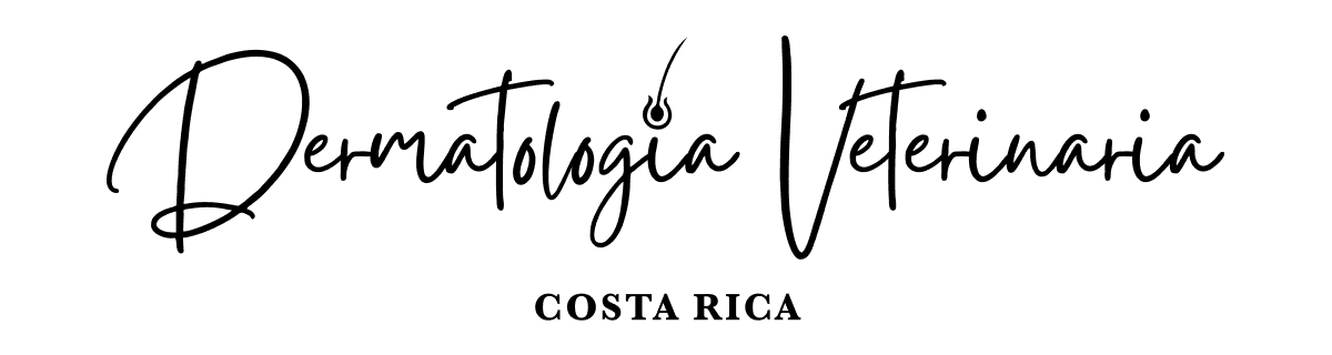 Dermatología Veterinaria Costa Rica